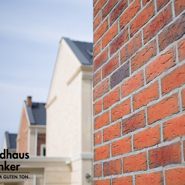 Клінкерна плитка Feldhaus Klinker R698 Sintra