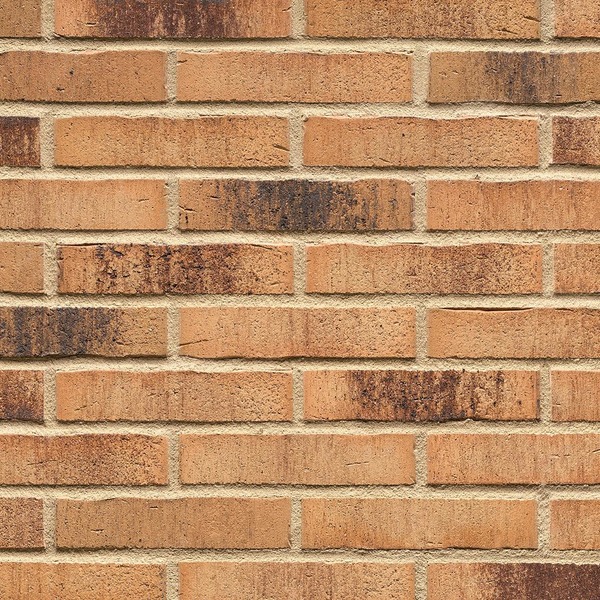 Клинкерная плитка Feldhaus Klinker R734 Vascu