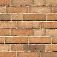Клинкерная плитка Feldhaus Klinker R917 Vario
