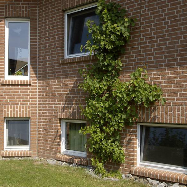 Клінкерна цегла Feldhaus K 435 NF
