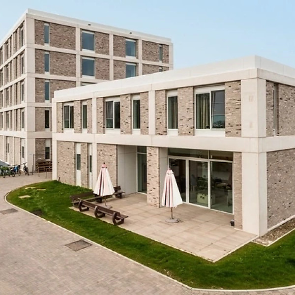 Цегла ручного формування Vandersanden Hagen WS 501
