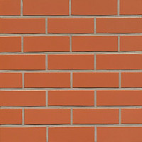 Клинкерная плитка Feldhaus Klinker R220 Classic Terracotta liso