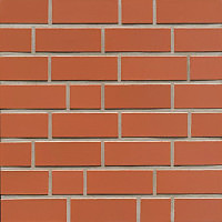 Клінкерна плитка Feldhaus Klinker R480 Classic Terreno liso
