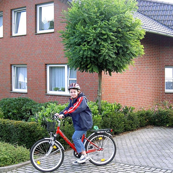Клинкерная плитка Roben Westerwald bunt, glatt